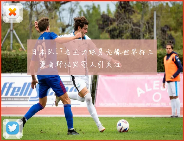日本队17名主力球员无缘世界杯三笘薰南野拓实等人引关注