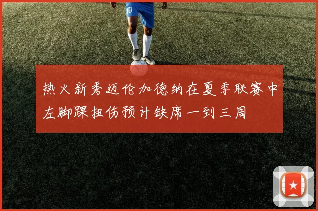 热火新秀迈伦加德纳在夏季联赛中左脚踝扭伤预计缺席一到三周